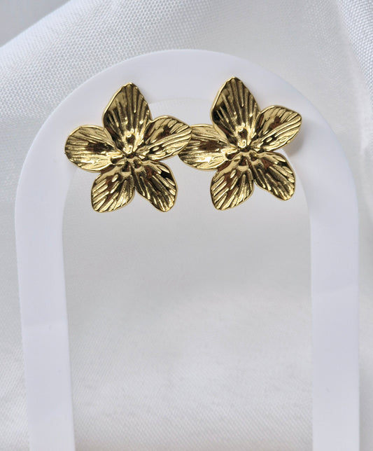 Boucles d’oreilles Ahélie